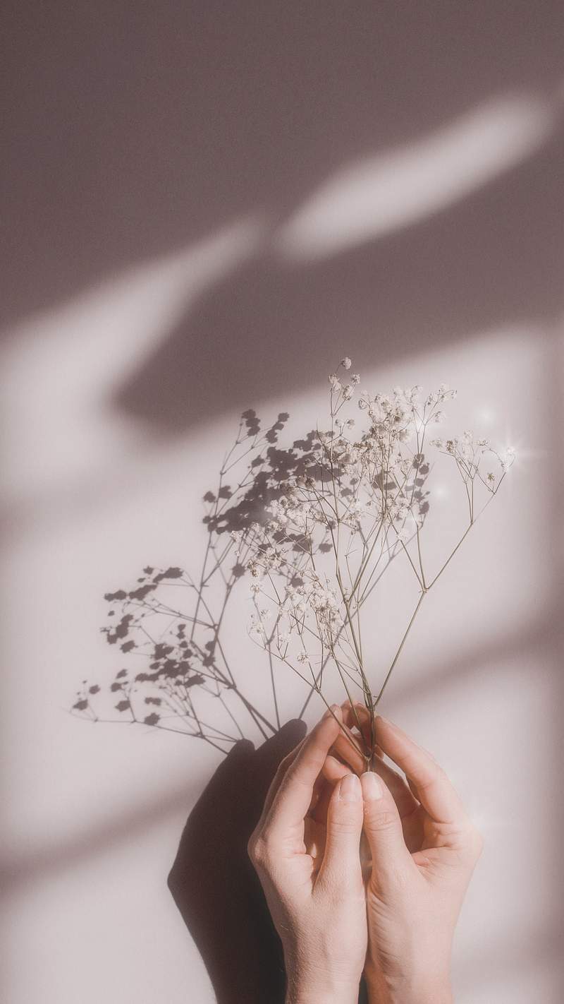 Aesthetic Images | Free Photos, PNG Stickers, Wallpapers ...