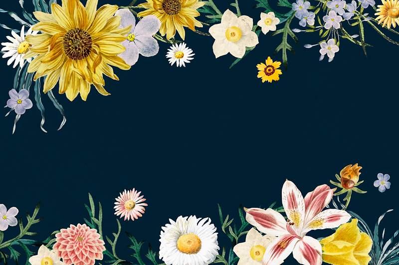 Sunflower Border Images | Free Photos, PNG Stickers, Wallpapers