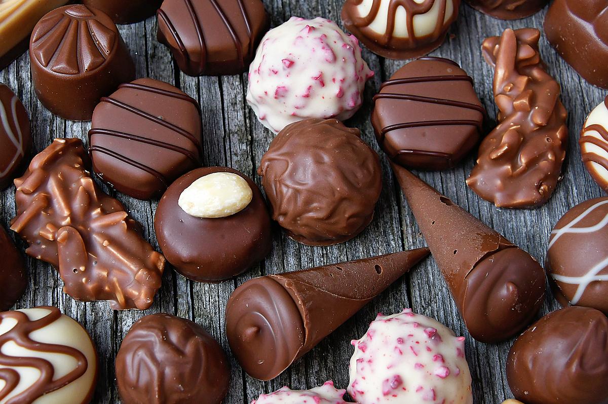 How Much To Feed A Weimaraner Puppy? 5 Chocolate not for dogs