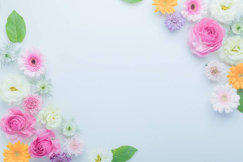 Floral Background Images | Free iPhone & Zoom HD Wallpapers & Vectors -  rawpixel