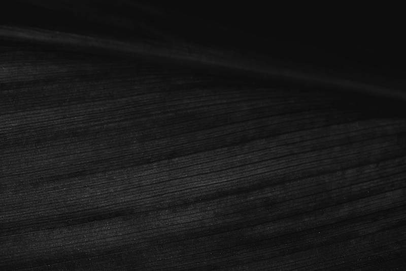 Black Images | Free Photos, PNG Stickers, Wallpapers & Backgrounds - rawpixel Black Images | Free Photos, PNG Stickers, Wallpapers & Backgrounds - rawpixel