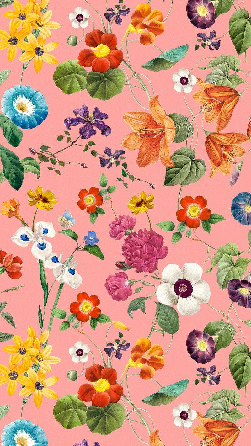 Wallpaper Flower | Free Beautiful HD iPhone, Samsung & Mobile Phone Images  - rawpixel