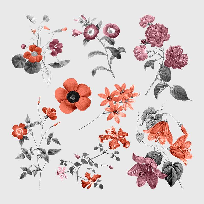 aesthetic journal printable stickers images free photos png stickers wallpapers backgrounds rawpixel