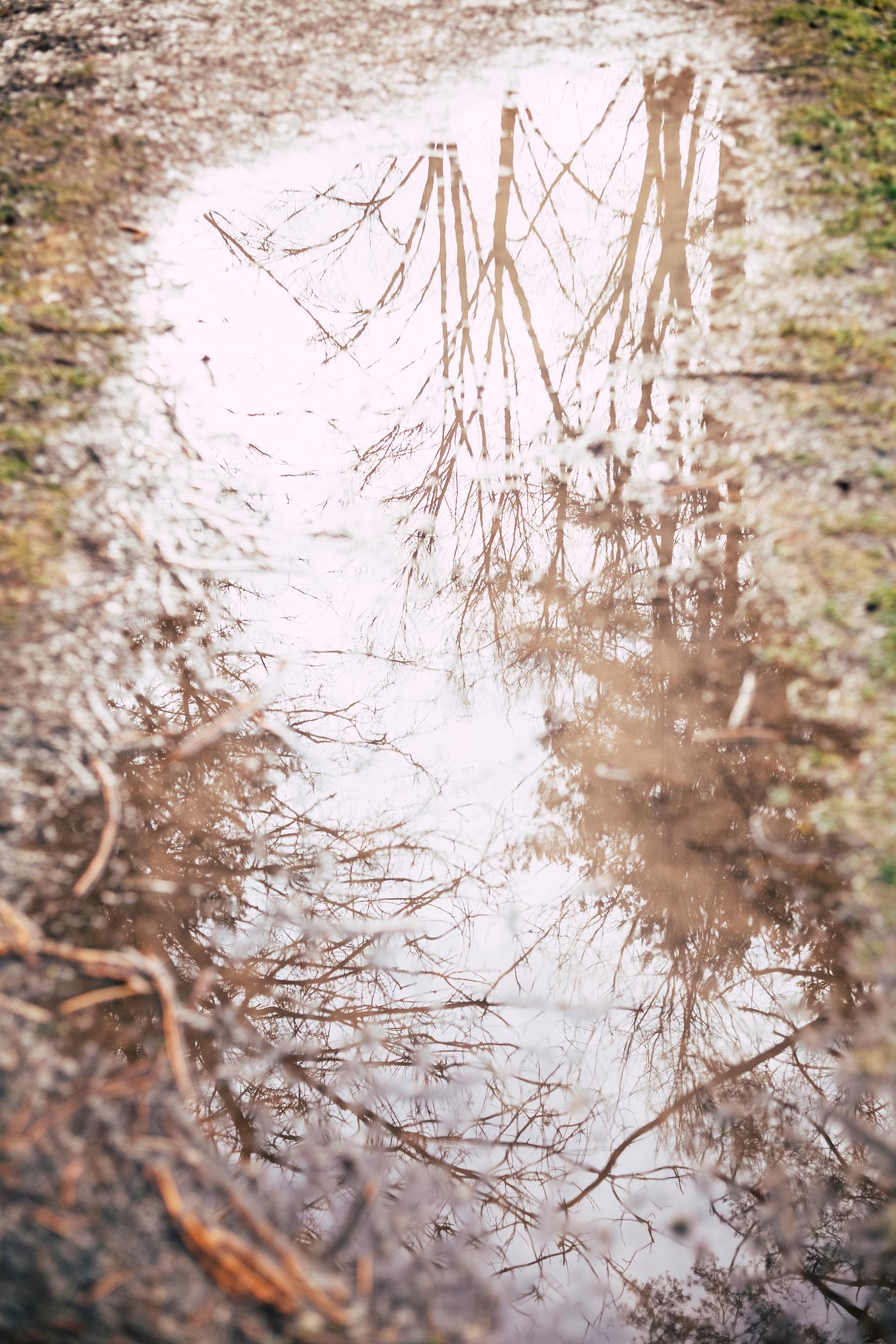 A puddle on a road A puddle on a road