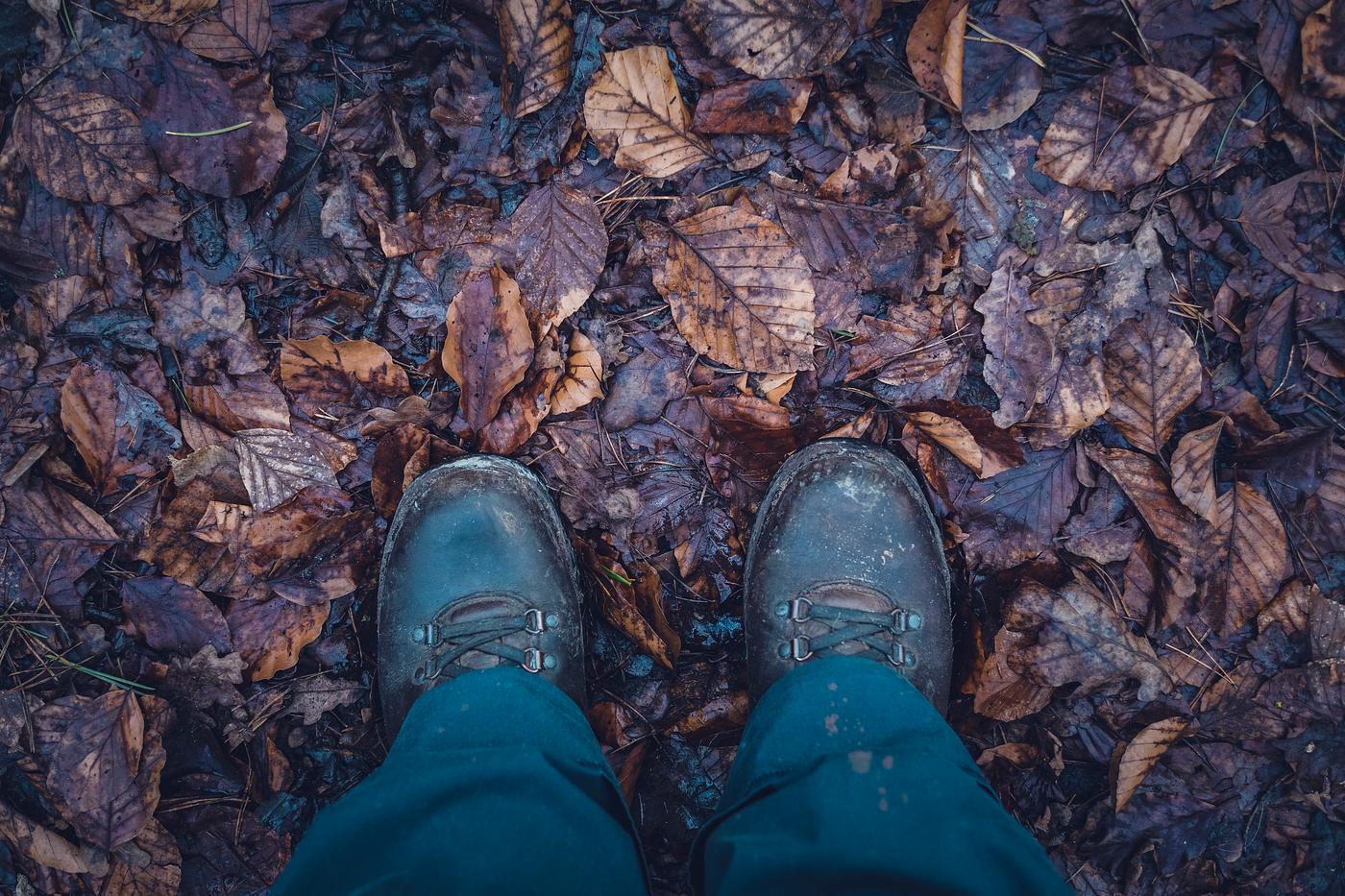 Man standing in the forest Man standing in the forest