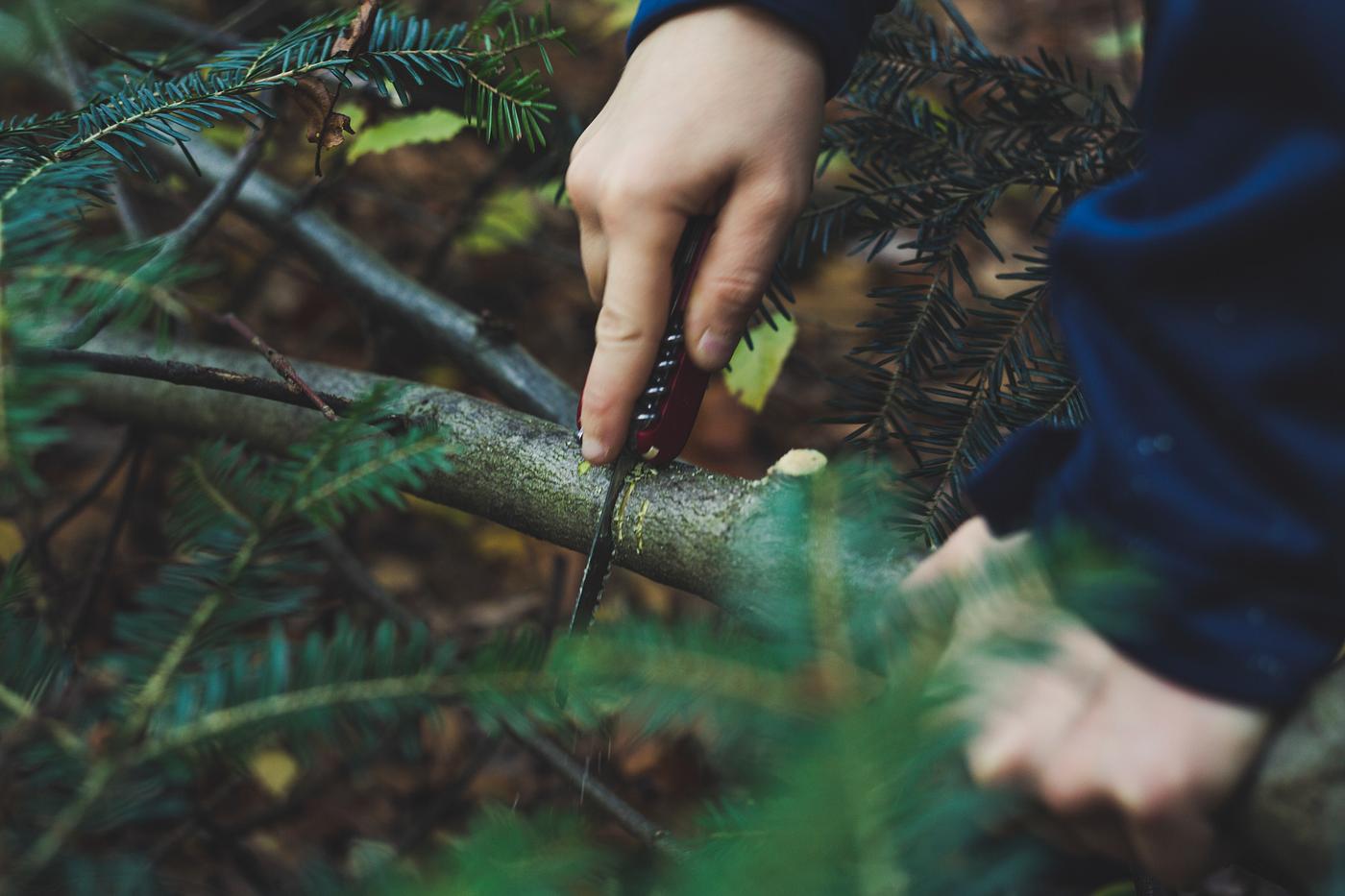 Man engaging in forest activities Man engaging in forest activities