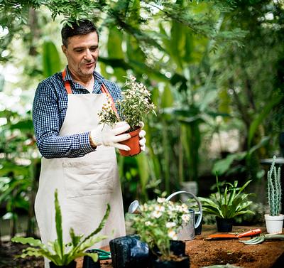 High-volume gardening with heirloom seeds, bountiful harvest, organic gardening tips