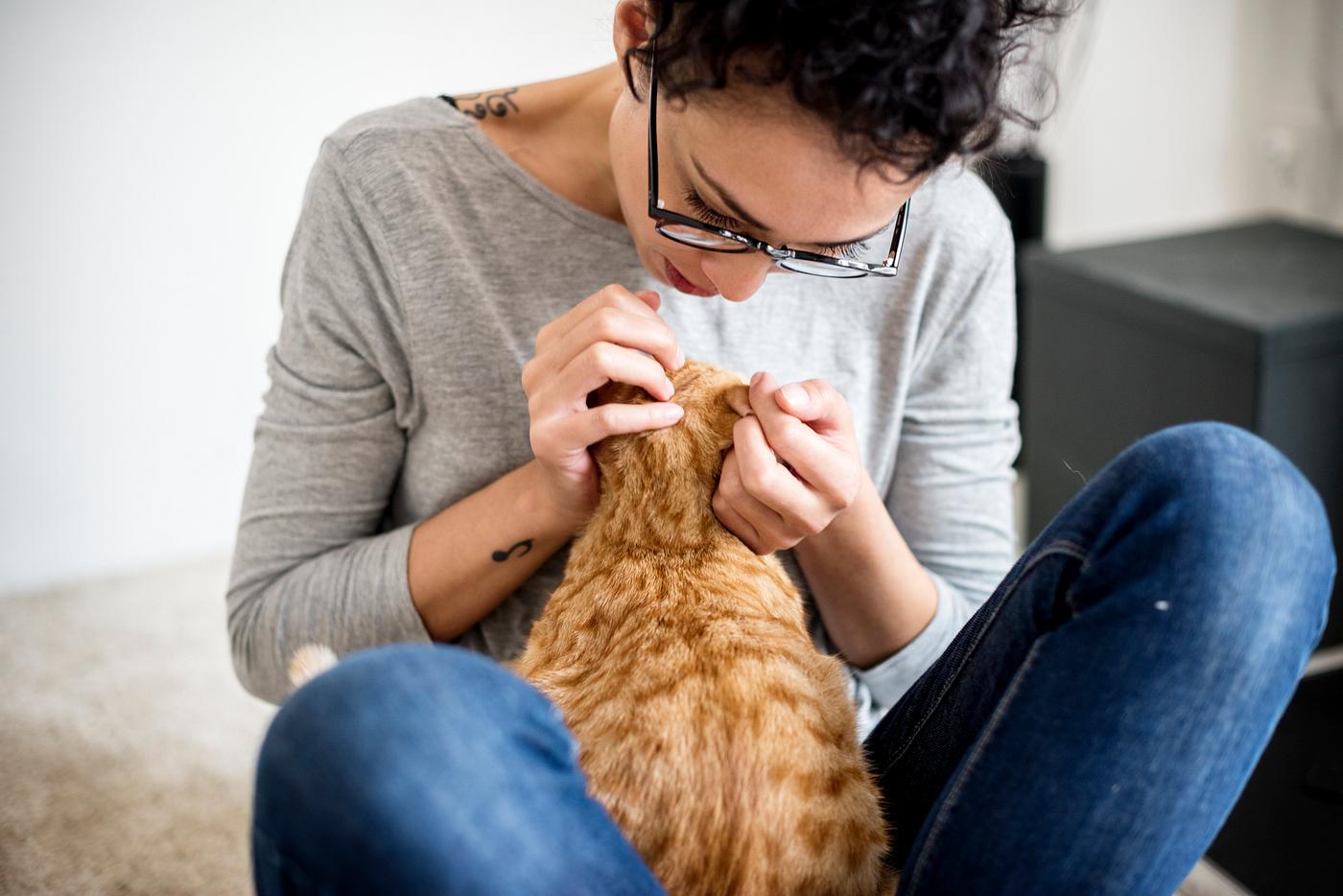 Woman petting a cat in a living room