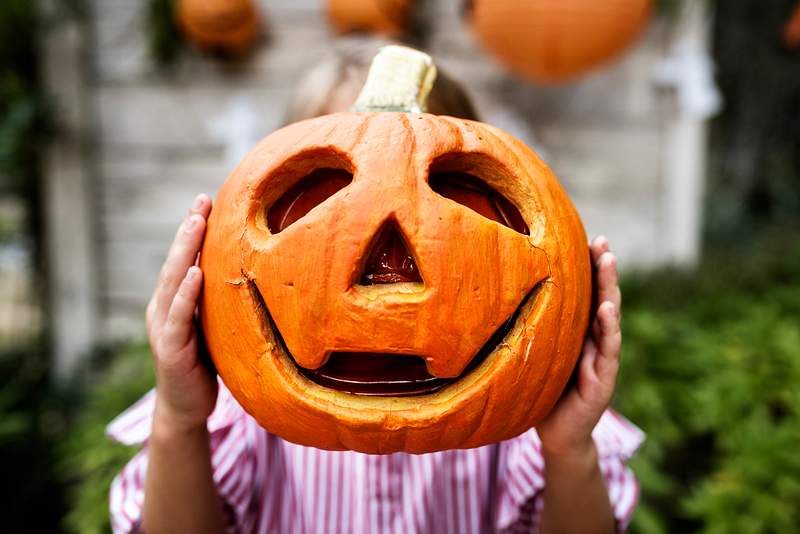 Girl holding jack o lantern | Free stock photo | High Resolution image Young playful girl enjoying Halloween
We are proud to support Hope for Children on their mission to ensure children in the…