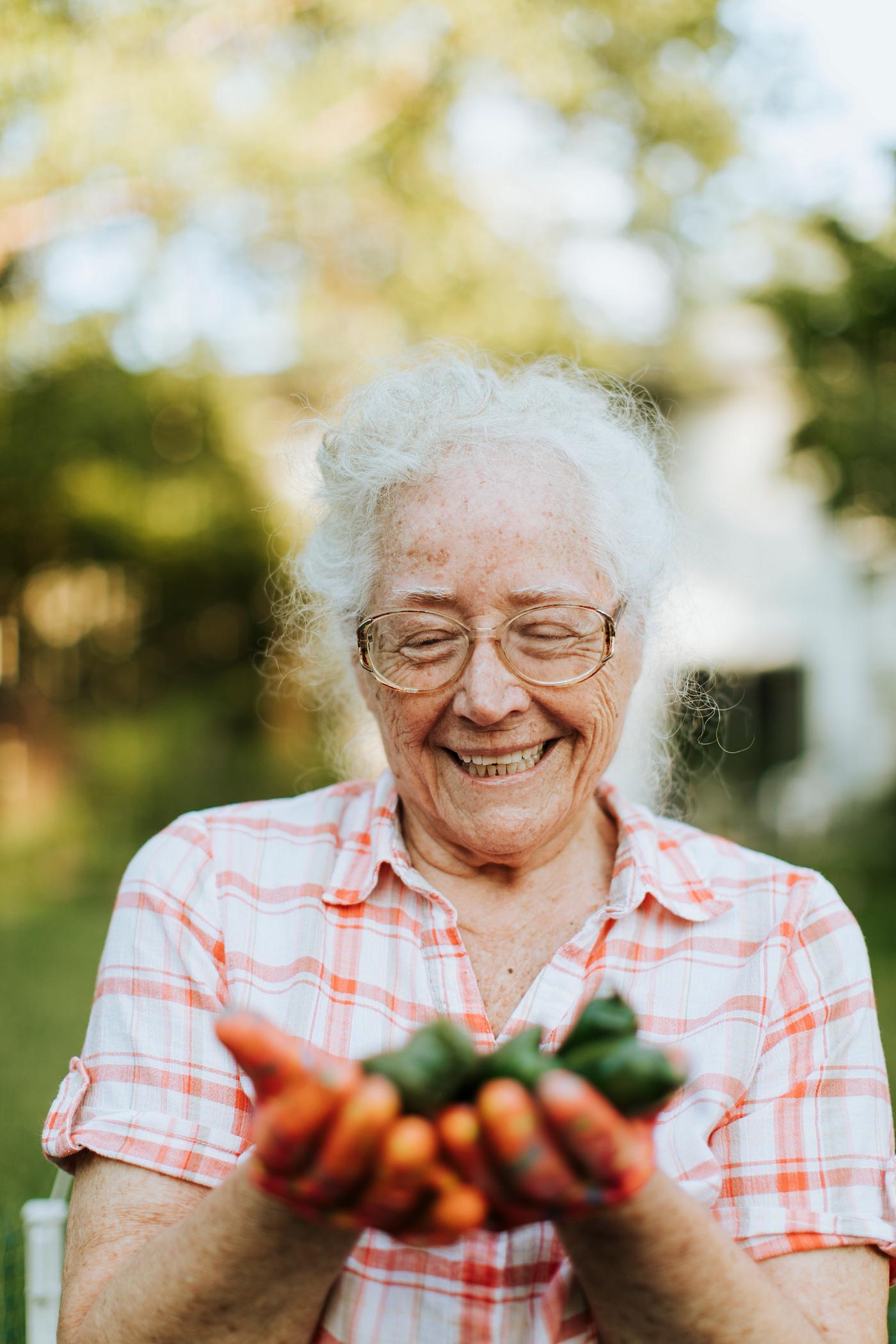 Senior woman holding organic jalapeno peppers from her own garden - adult, aged, caucasian, chili, chili pepper, close up,... Senior woman holding organic jalapeno peppers from her own garden - adult, aged, caucasian, chili, chili pepper, close up,...