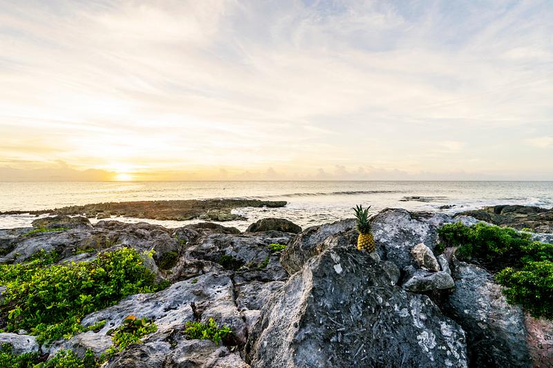 Pineapple on a rock by the sea Pineapple on a rock by the sea
