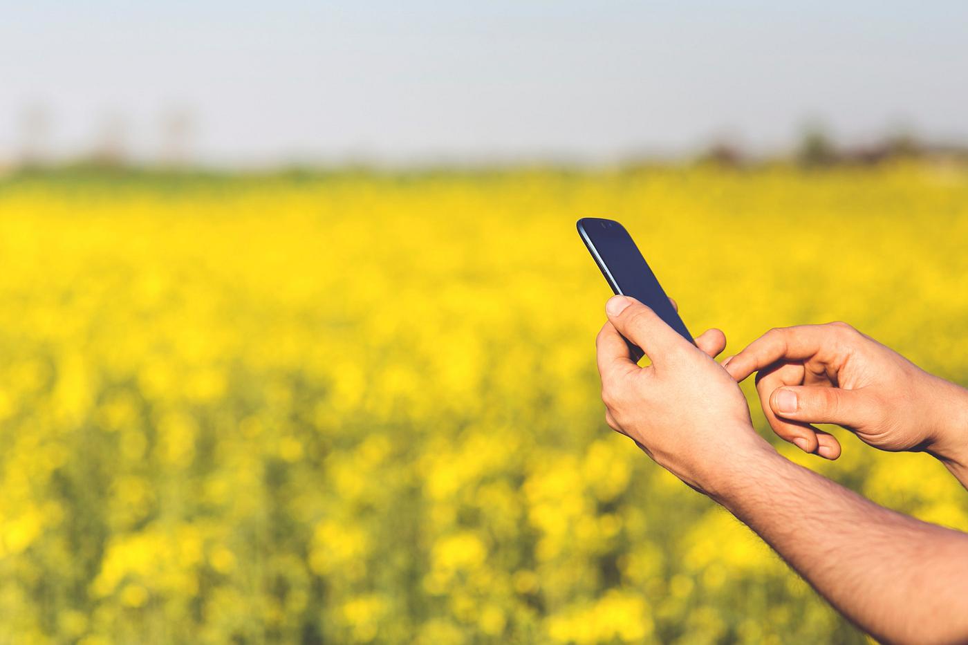 Man using a phone by a field Man using a phone by a field