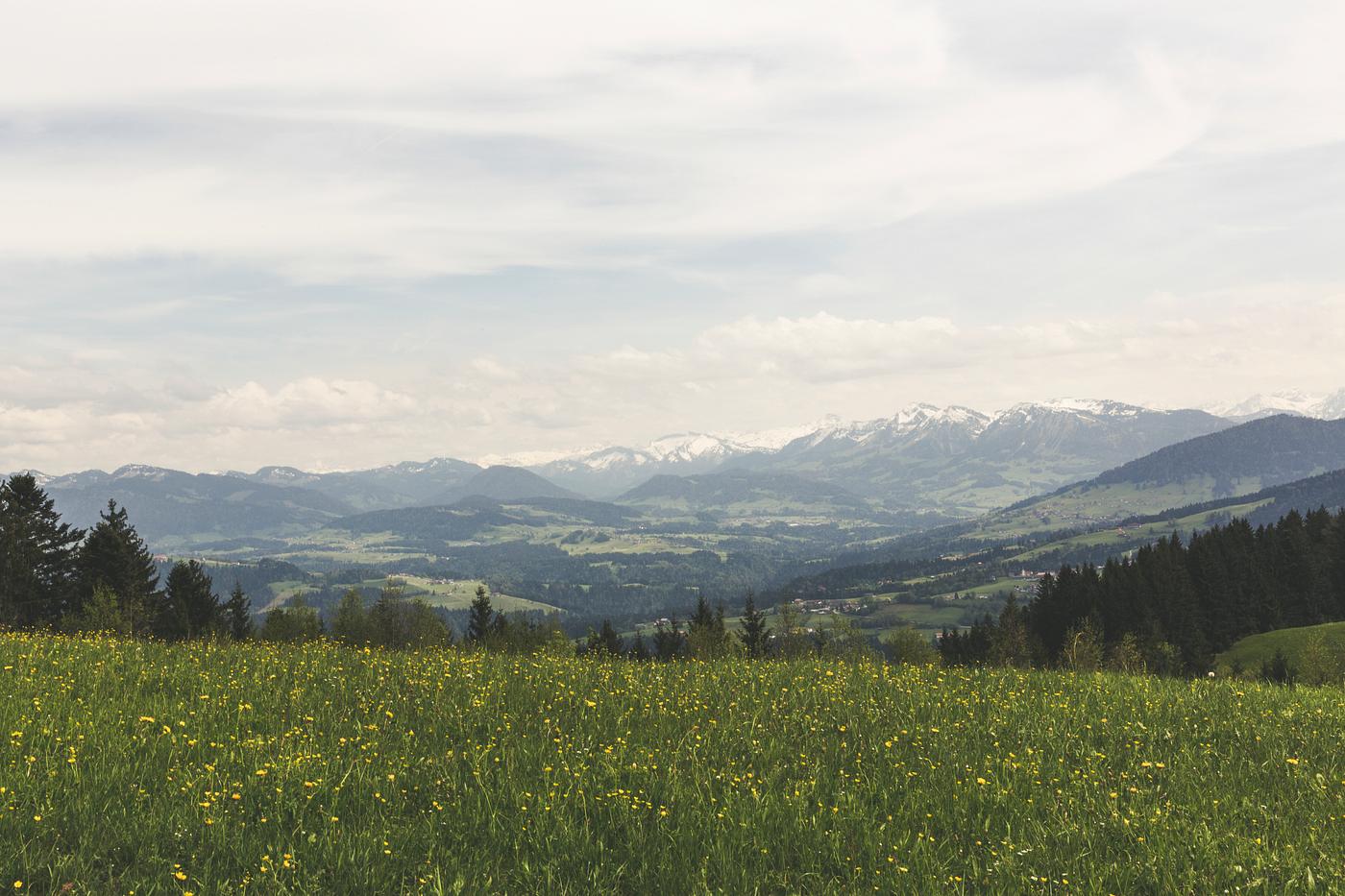 European landscape European landscape