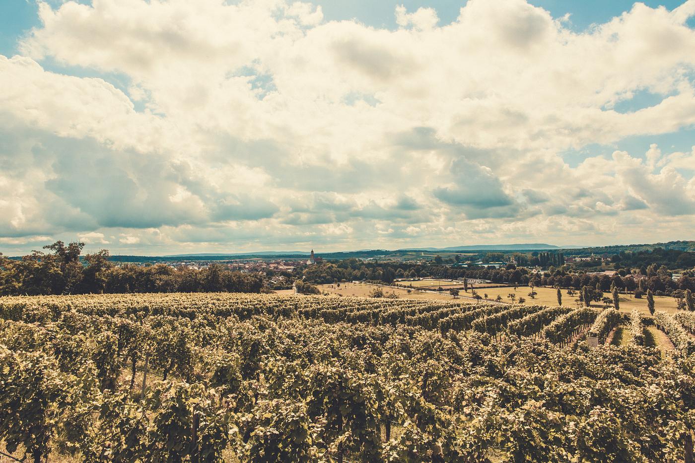 European landscape European landscape