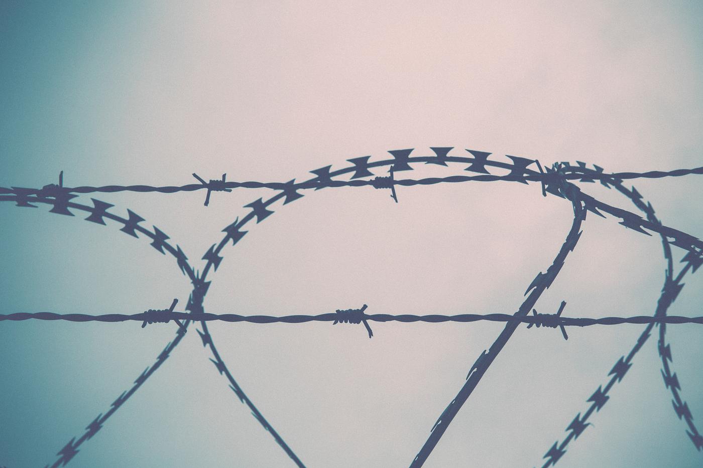 Close up of barbwire fence Close up of barbwire fence
