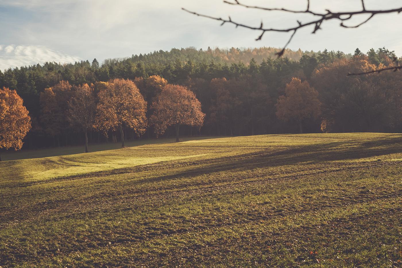 Landscape with autumn color Landscape with autumn color