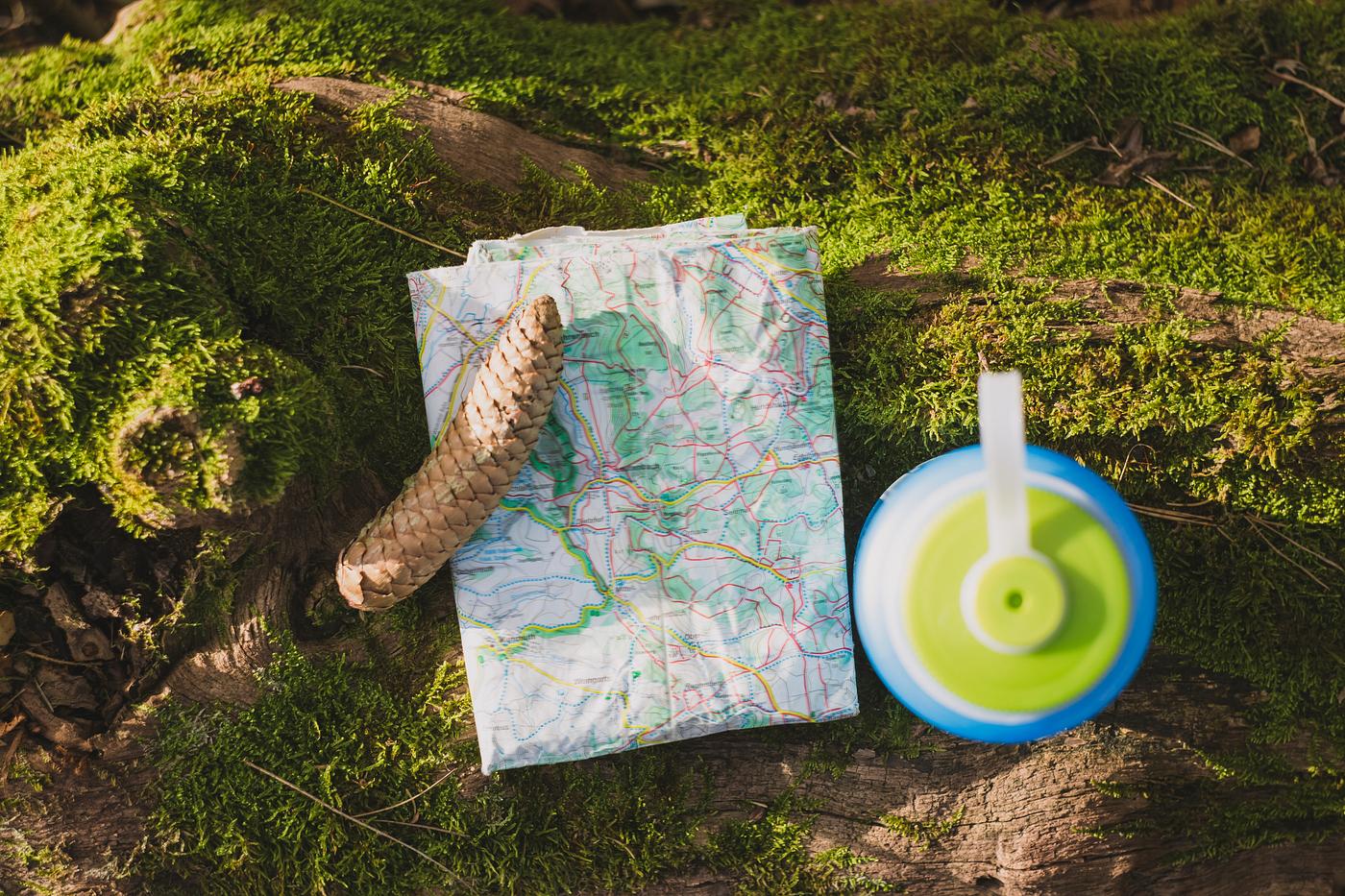 A map in the forest A map in the forest