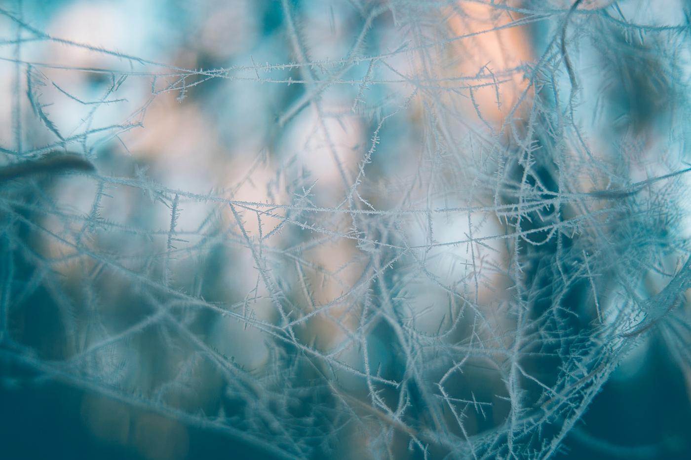 Ice crystals on a window Ice crystals on a window