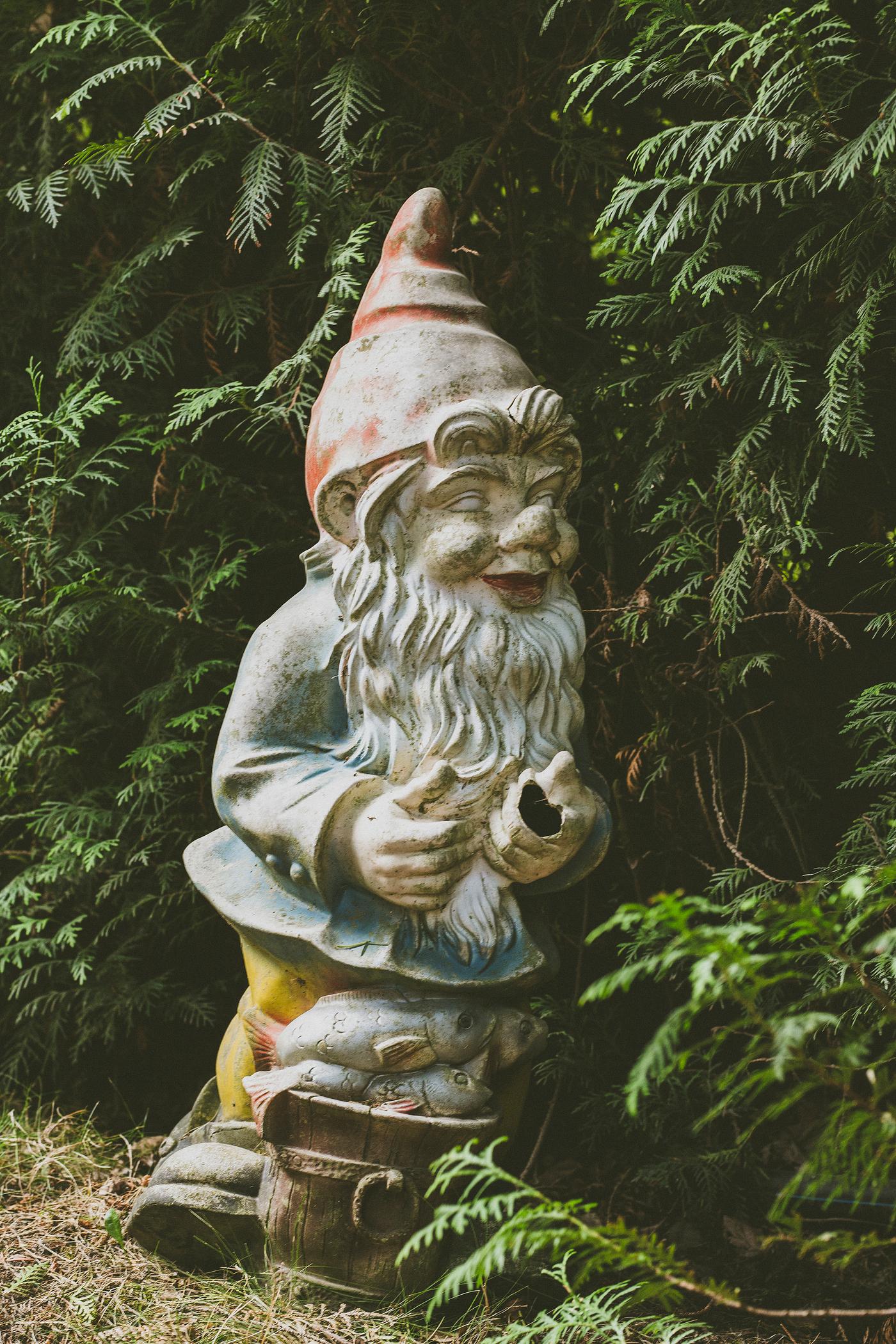 Old garden gnome with fern tree Old garden gnome with fern tree