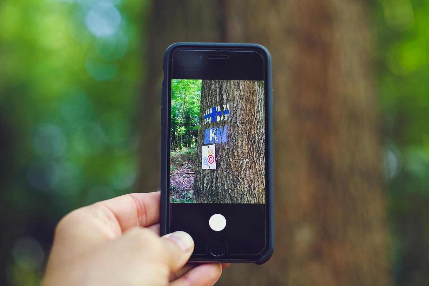 Man using his phone to capturing art on a tree trunk Man using his phone to capturing art on a tree trunk