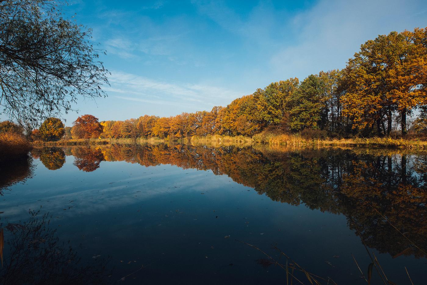 Lake surrounded by autumn trees Lake surrounded by autumn trees