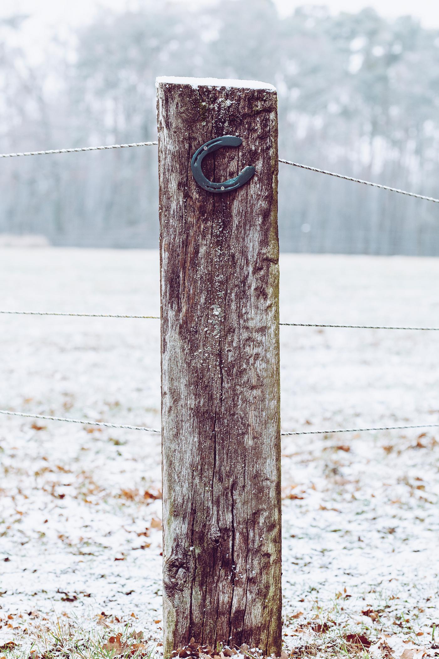 Horseshoe on a wooden fence Horseshoe on a wooden fence