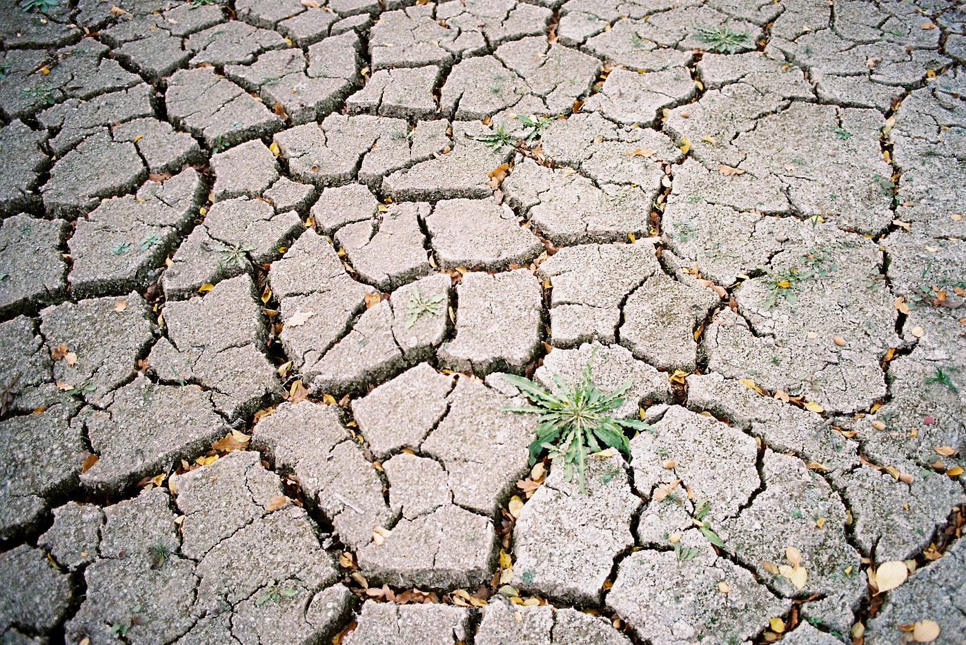 Dry cracked earth textured wallpaper Dry cracked earth textured wallpaper