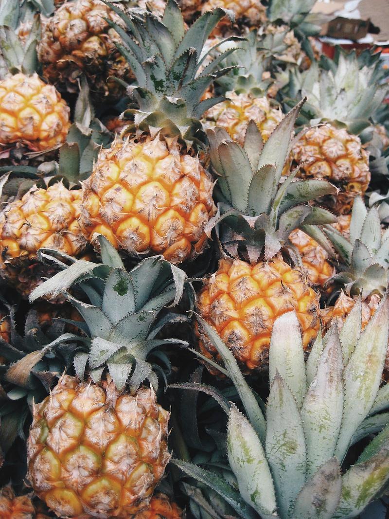 Small pineapples Closeup of small sweet pineapples