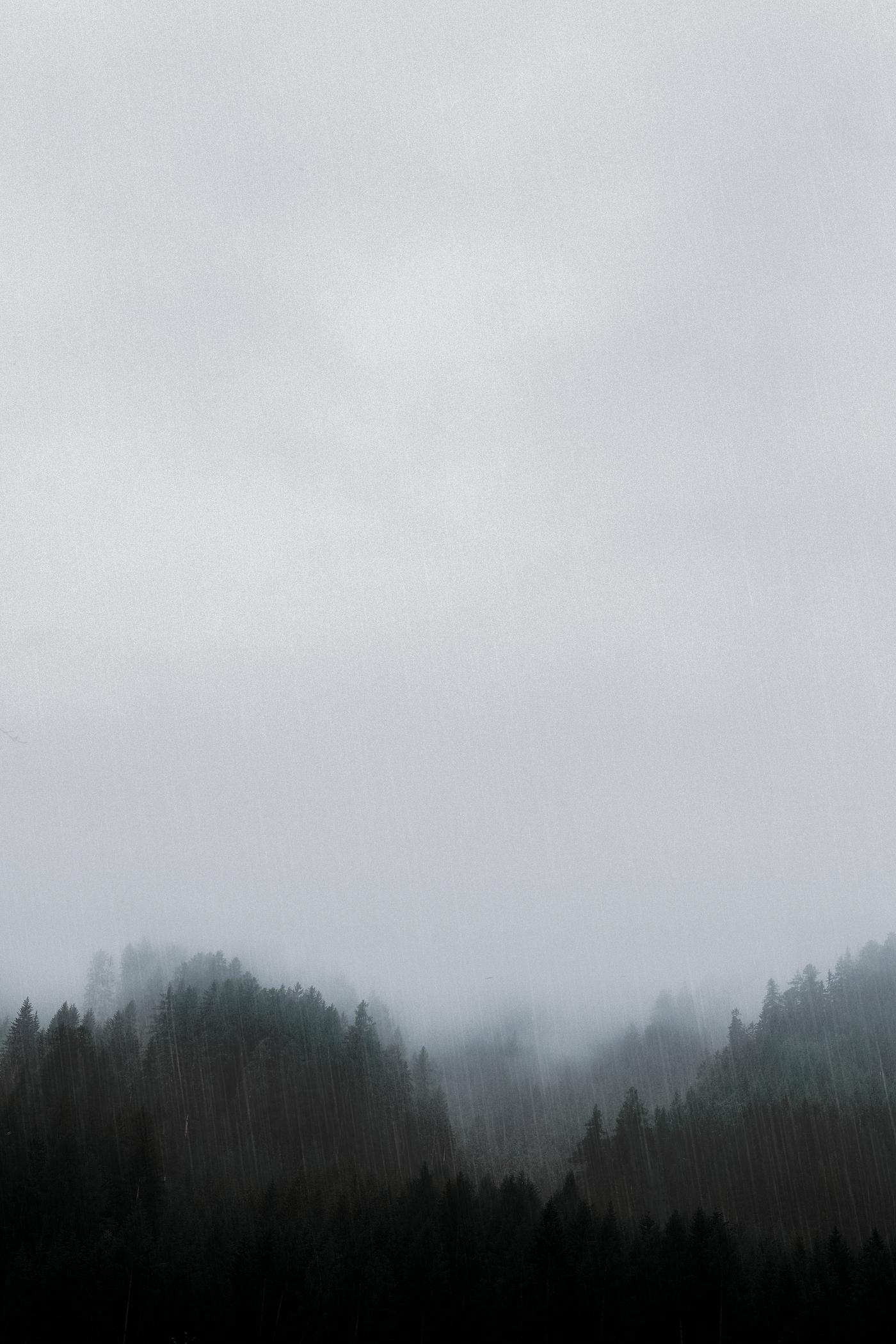 Foggy day Foggy day