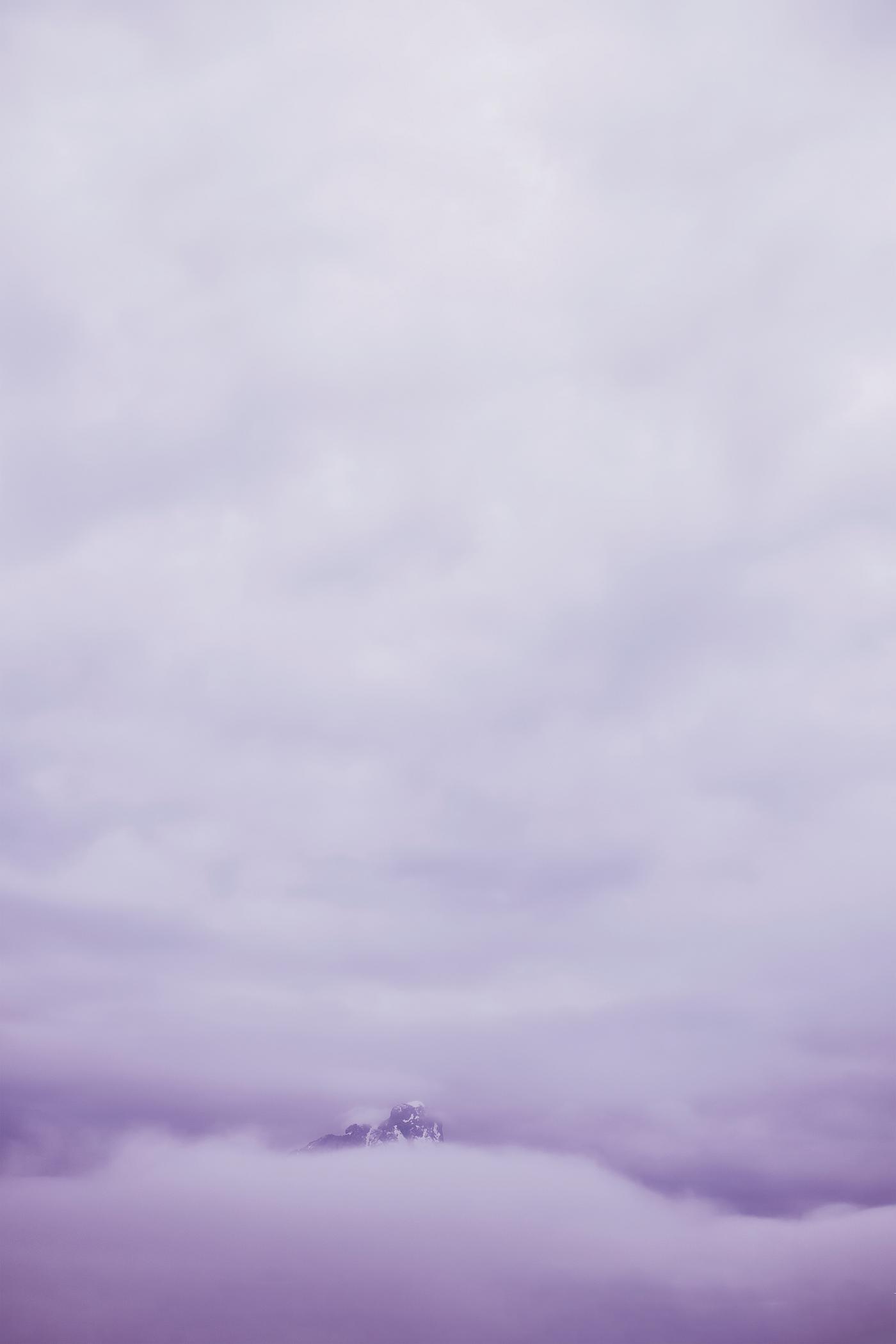 Sea of purple mist in the morning Sea of purple mist in the morning