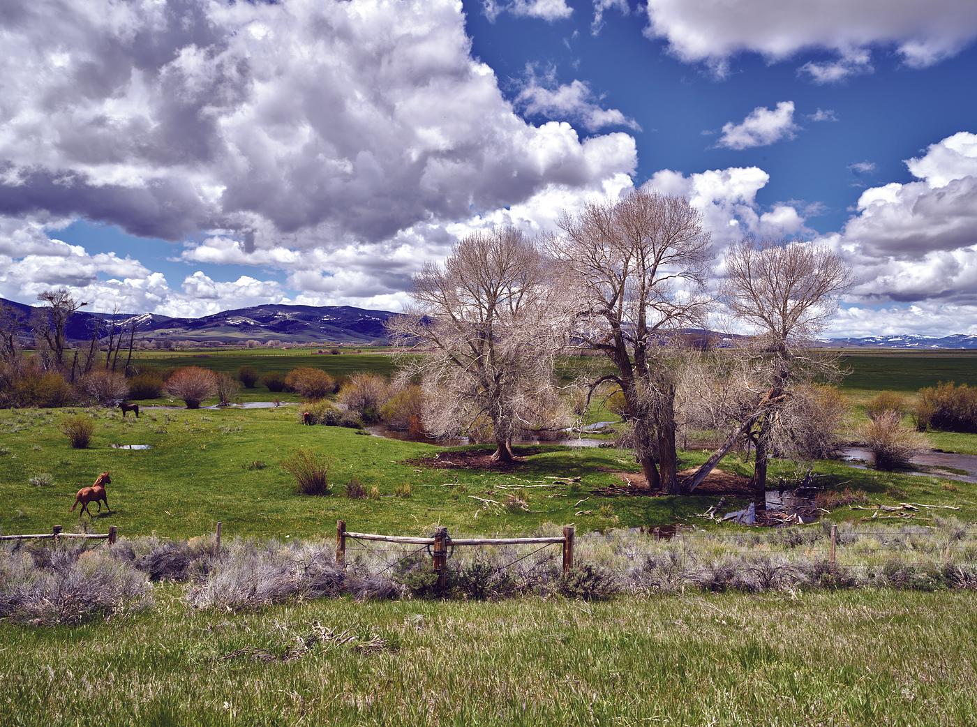 Landscape near the Colorado border in southern Wyoming. Original image from Carol M. Highsmith’s America, Library of... Landscape near the Colorado border in southern Wyoming. Original image from Carol M. Highsmith’s America, Library of...