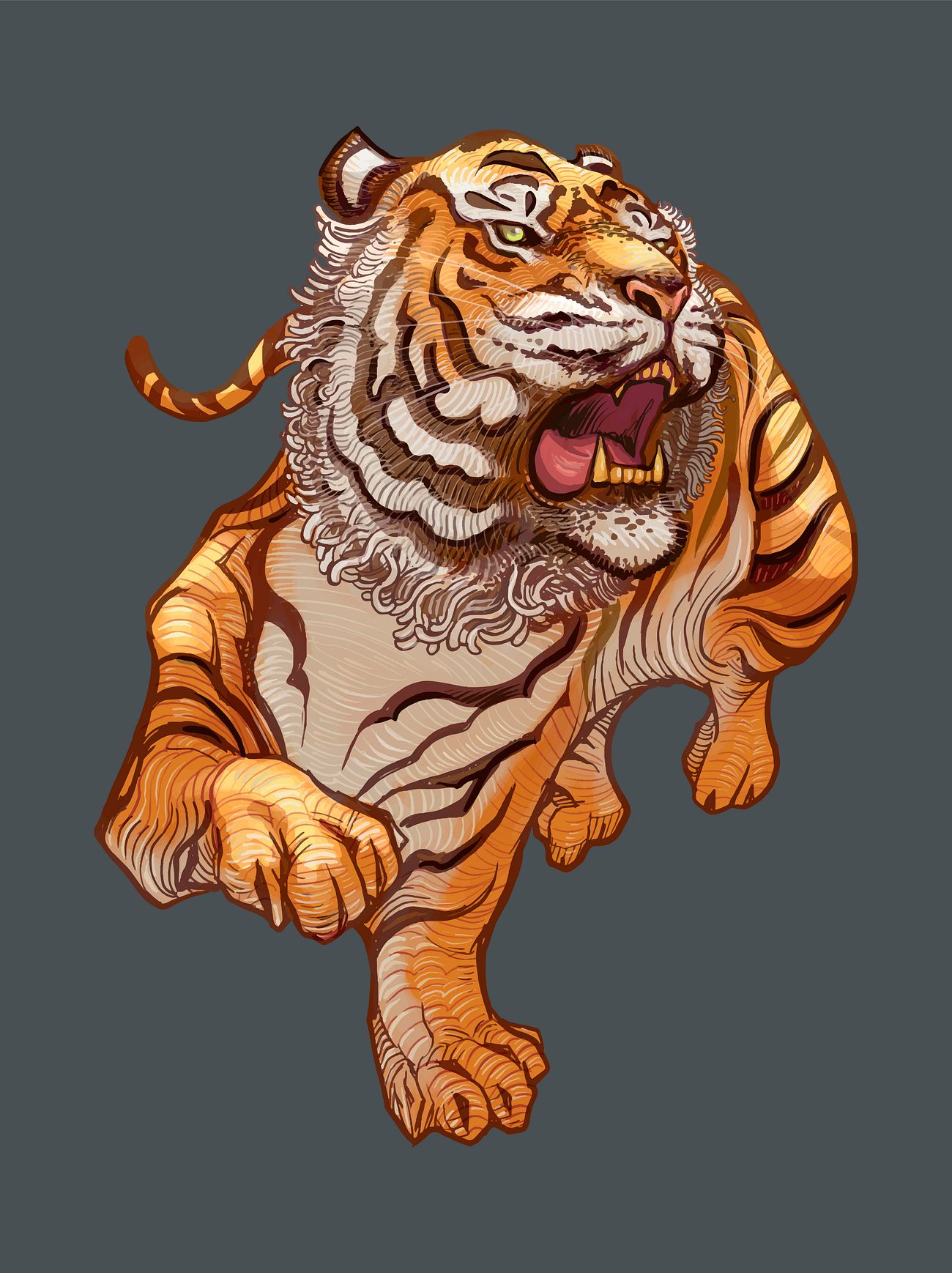 Roaring Japanese  tiger  hand drawn illustration Royalty 