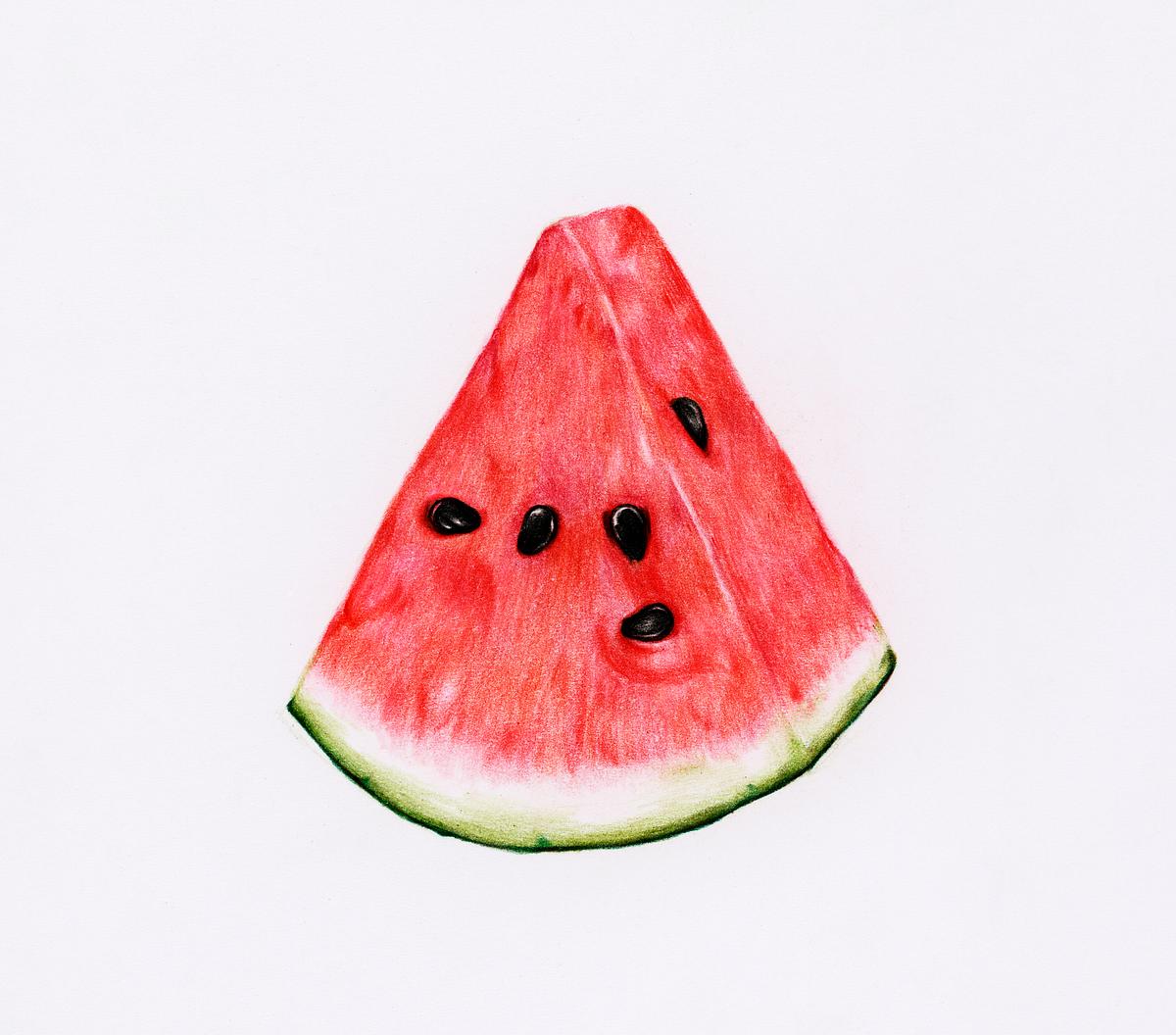 Hand drawn watermelon illustration | Free Photo - rawpixel