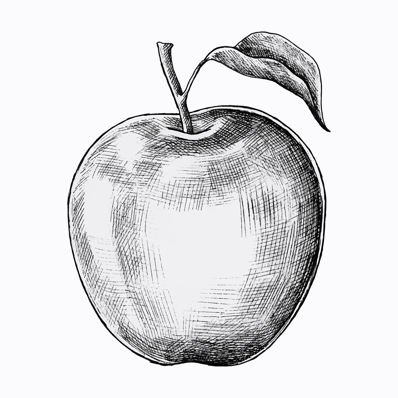 Apple ink drawing