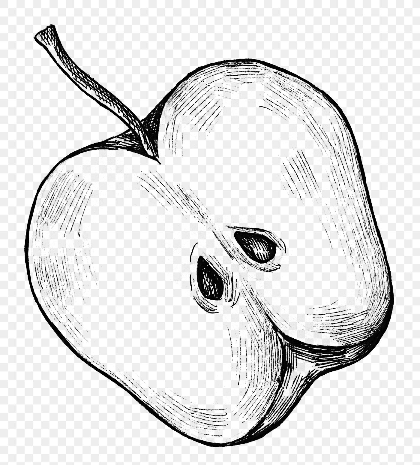 Download Apple ink drawing | Free transparent png - 1200300