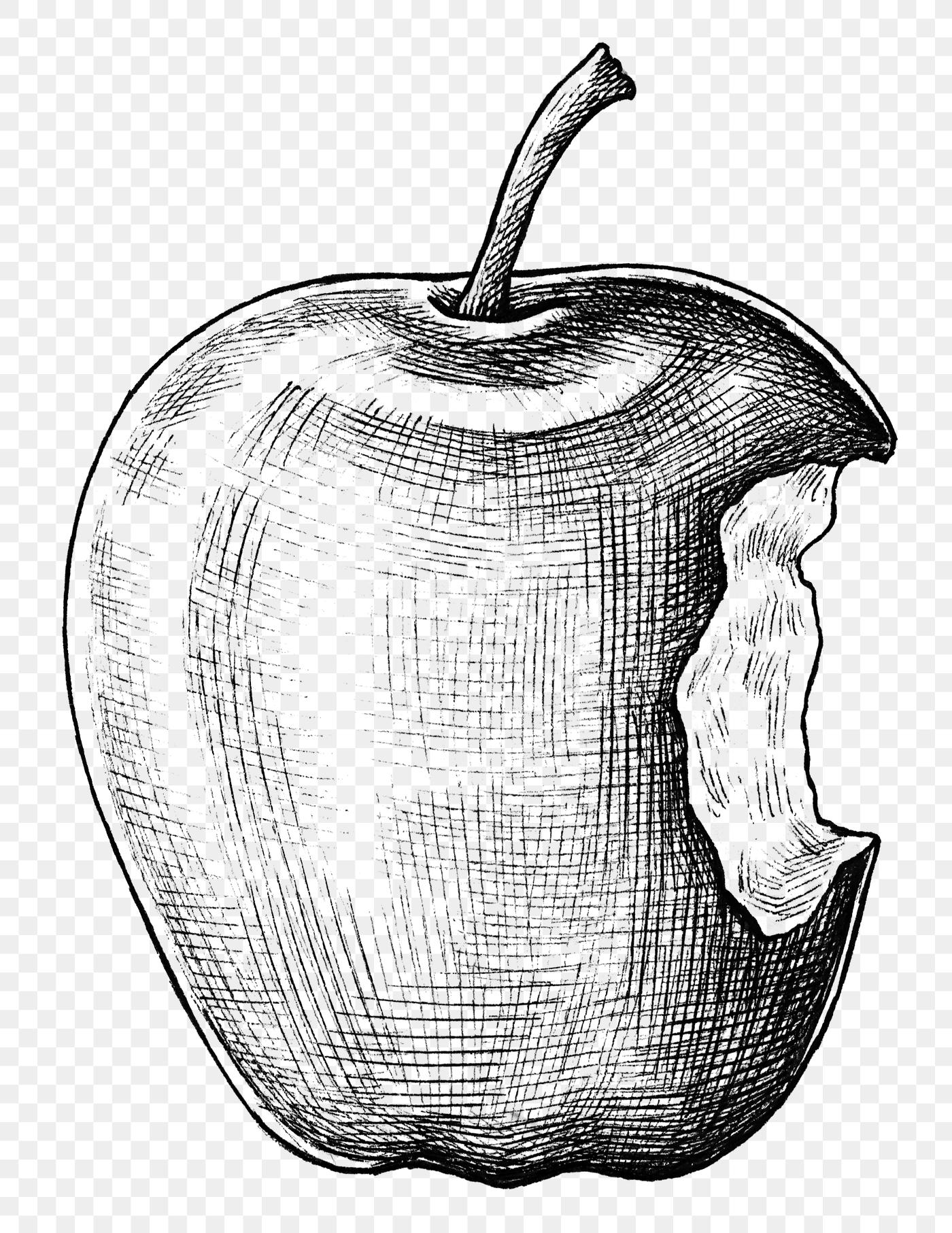 Apple ink drawing | Free transparent png - 1200184