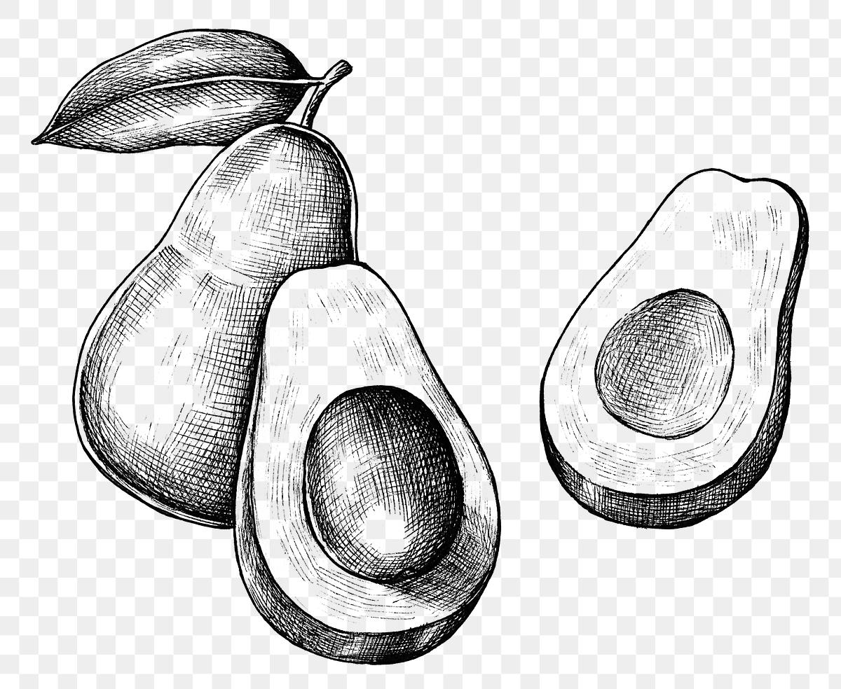 Рисунок авокадо поэтапно