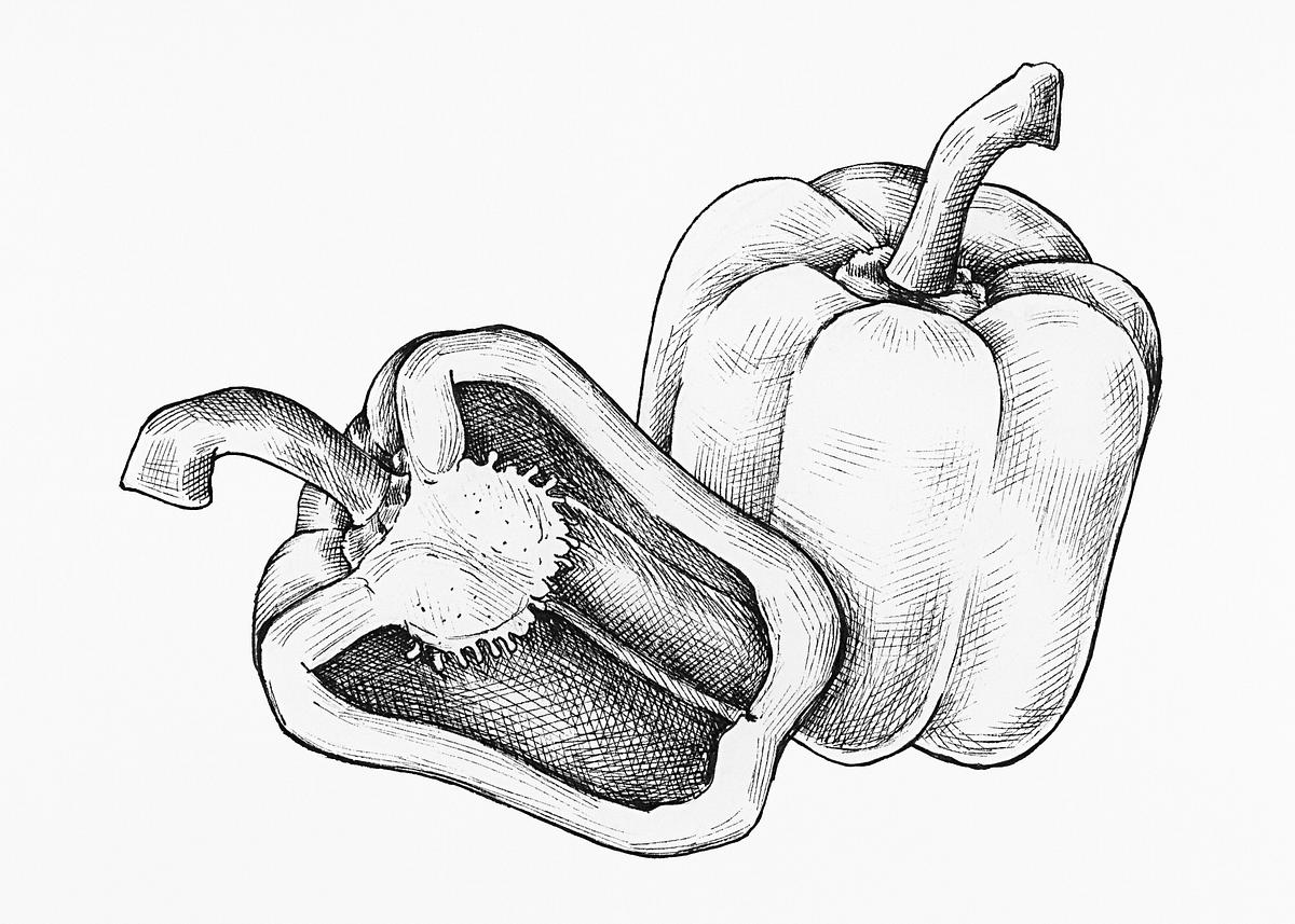 pic How To Draw A Pepper Cut In Half rawpixel