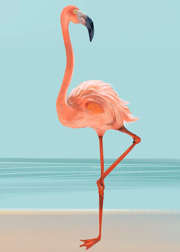 Hand Drawn Pink Flamingo Royalty Free Illustration