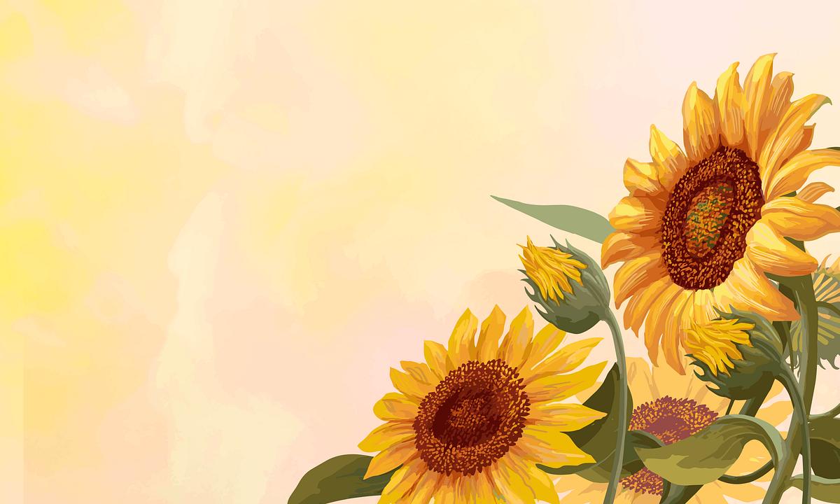 Blooming sunflower frame | Royalty free stock illustration ...