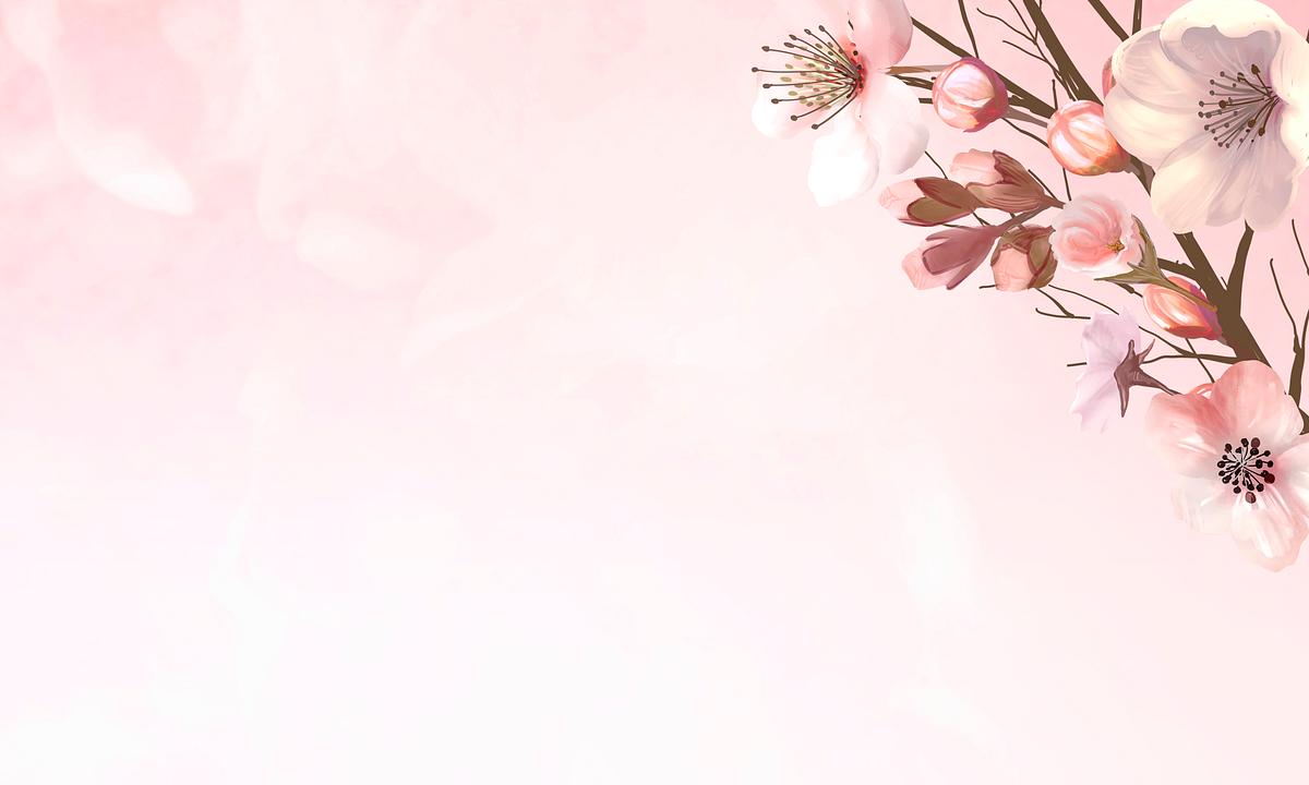 Cherry blossoms background | Royalty free stock illustration - 842039