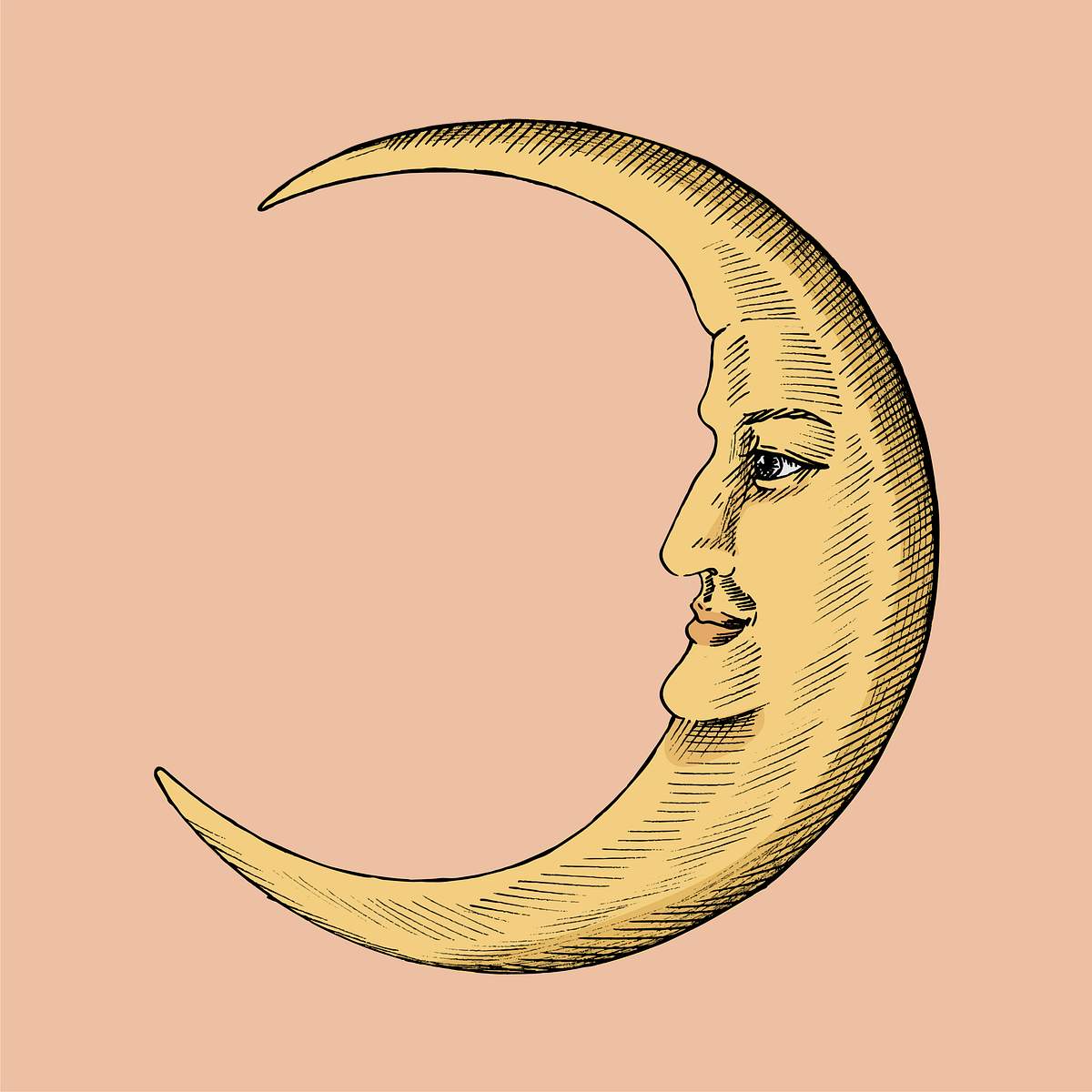 Hand drawn sketch of a crescent moon | Royalty free vector - 410781