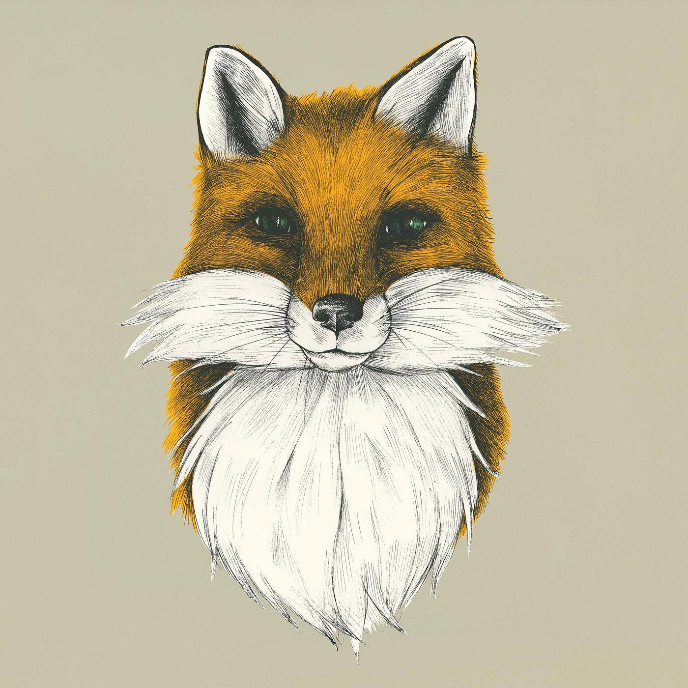 Hand drawn fox isolated on background - sketch, fox, illustration, hunting, antique, animal, artwork, beast, brown... Hand drawn fox isolated on background - sketch, fox, illustration, hunting, antique, animal, artwork, beast, brown...