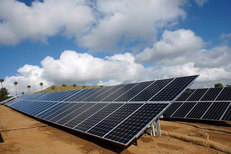 community solar farm with palm trees