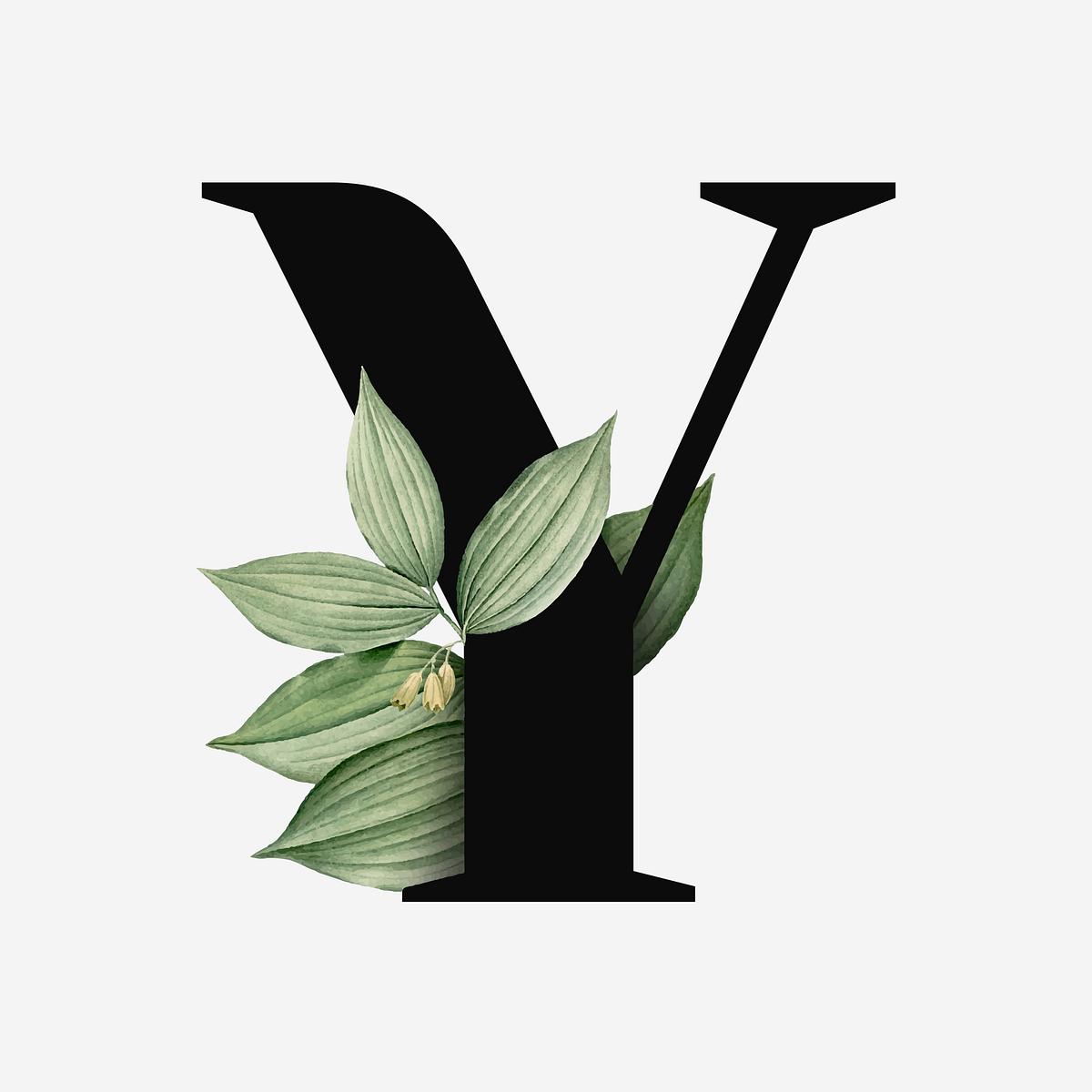 Botanical capital letter Y font Free Photo rawpixel