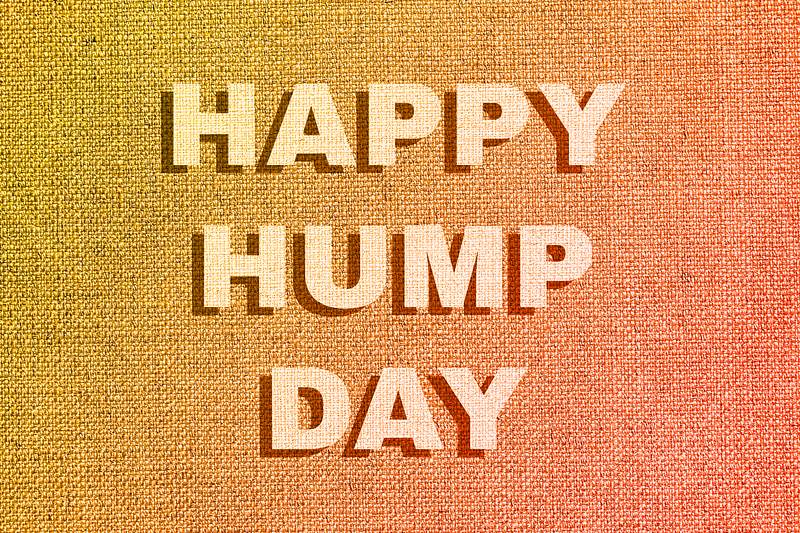Happy Hump Day Images | Free Photos, PNG Stickers, Wallpapers
