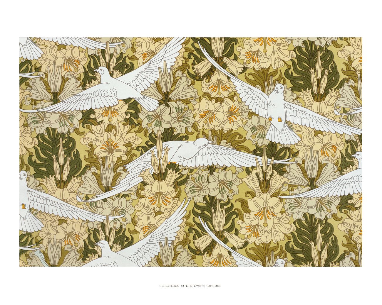 Dove Images | Free Photos, PNG Stickers, Wallpapers & Backgrounds