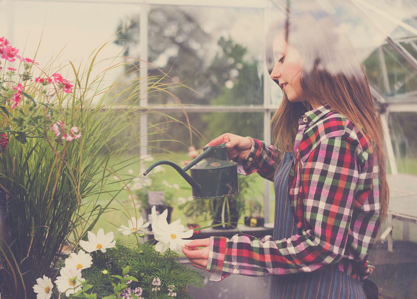 arboretum, backyard, bloom, blooming, botanical, botany, country, countryside, cultivate, cultivating, flora, garden,... arboretum, backyard, bloom, blooming, botanical, botany, country, countryside, cultivate, cultivating, flora, garden,...