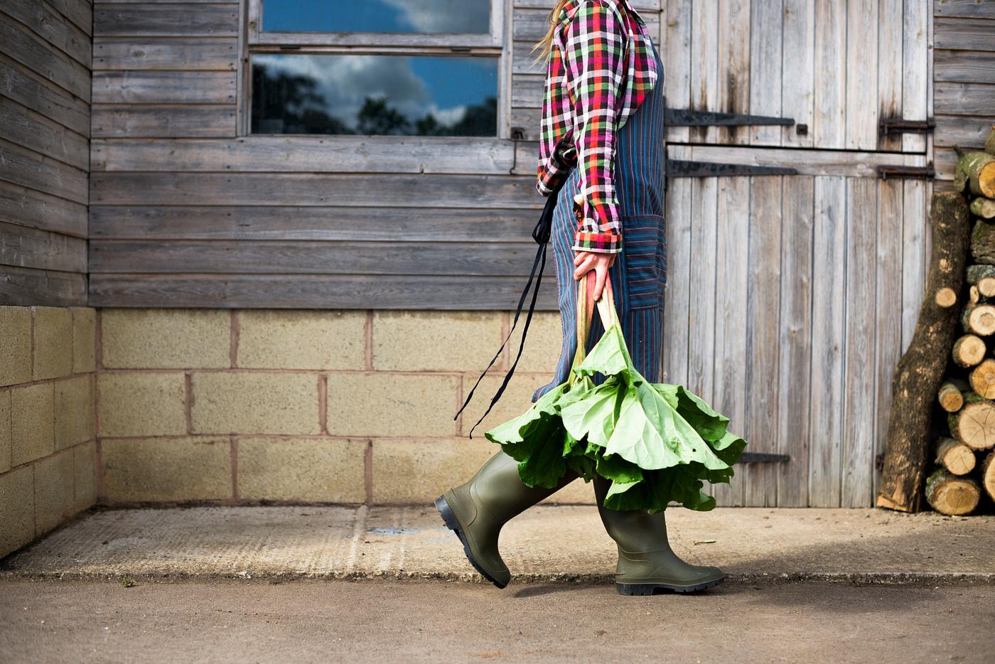 agricultural, agriculture, country, farmer, farming, fresh, freshness, gardener, growth, happy, harvest, harvesting, healthy... agricultural, agriculture, country, farmer, farming, fresh, freshness, gardener, growth, happy, harvest, harvesting, healthy...