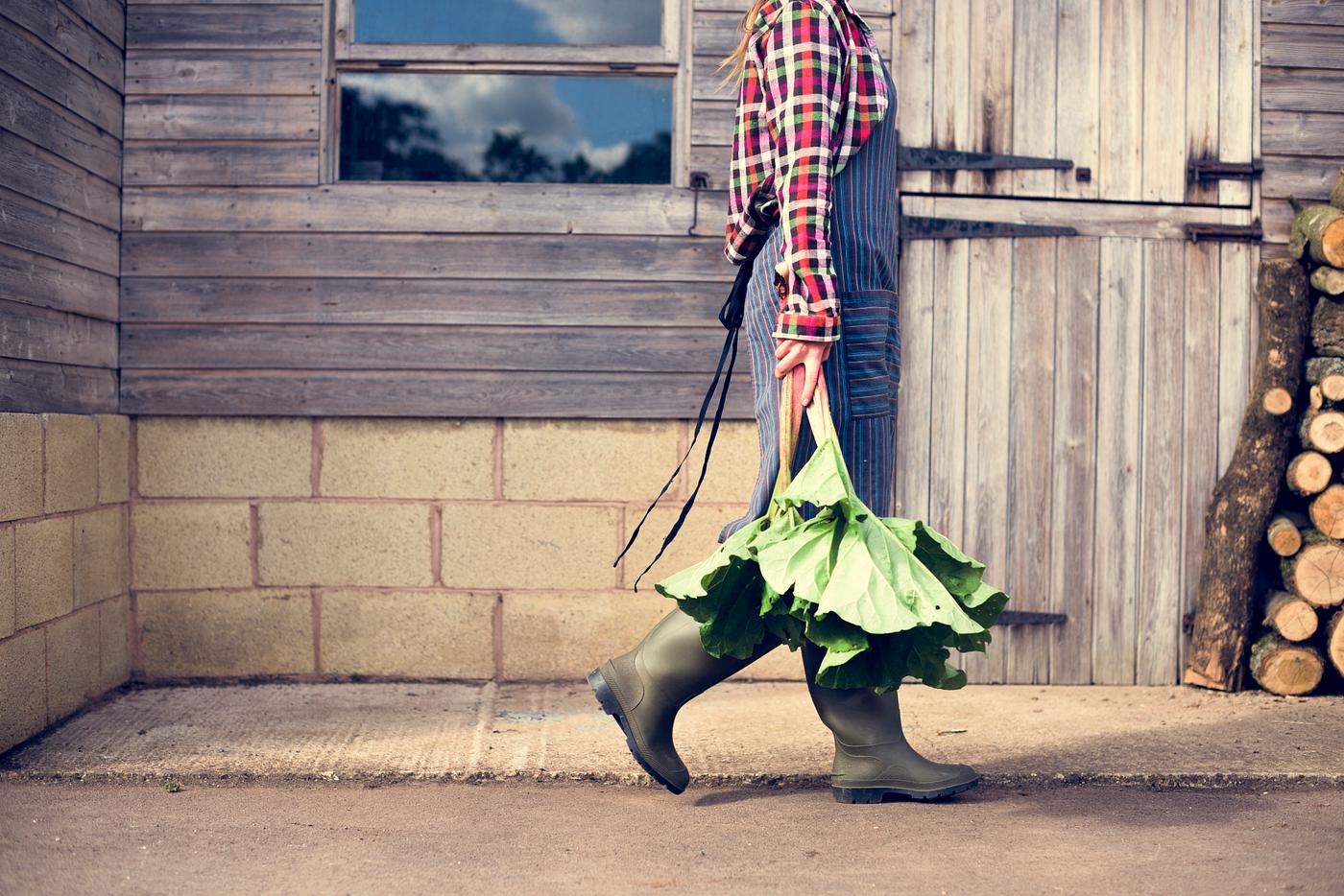 agricultural, agriculture, country, crop, cultivated, cultivation, farmer, farming, fresh, freshness, gardener, growth,... agricultural, agriculture, country, crop, cultivated, cultivation, farmer, farming, fresh, freshness, gardener, growth,...